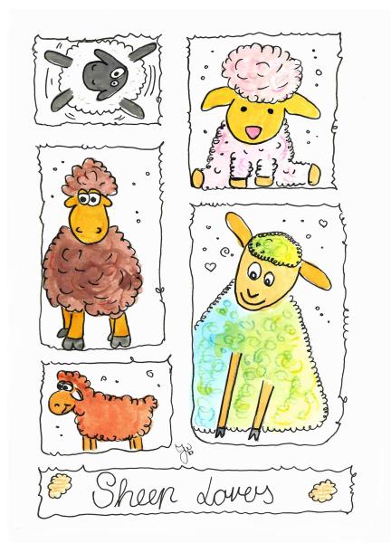 Sheep lovers